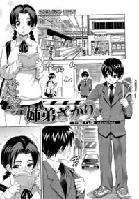 [Isako Rokuroh  (Finecraft69)] Sibling Lust [Bishoujo Kakumei KIWAME 2009-04 Vol.01] [ENG]
